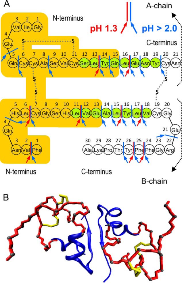 FIGURE 5.