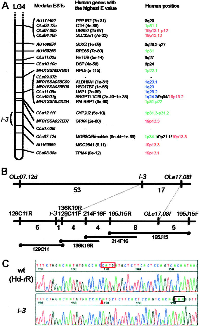 Figure 2.—