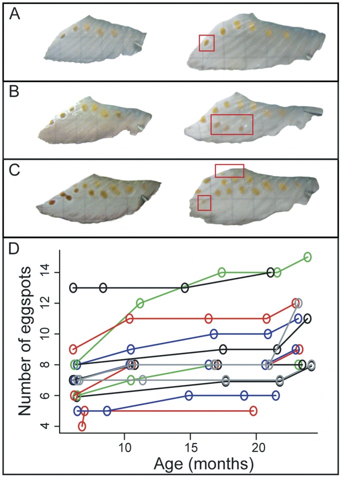 Figure 4