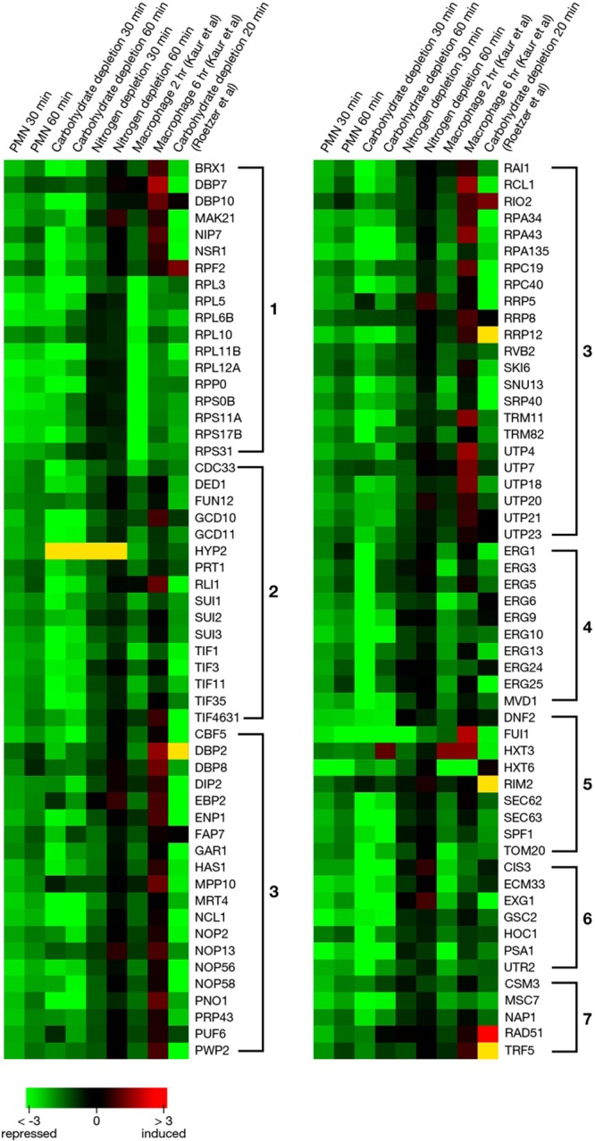 Fig 6