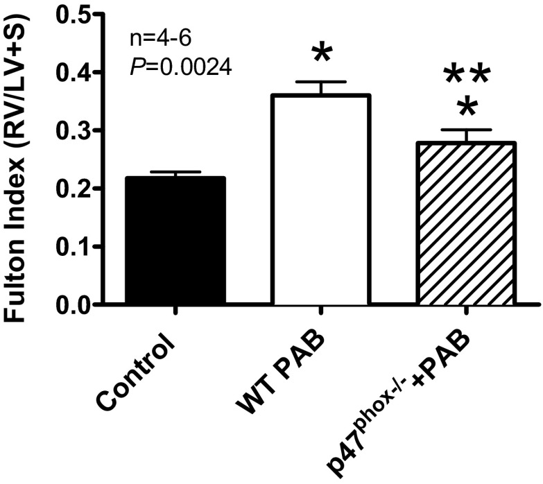 Fig. 10.