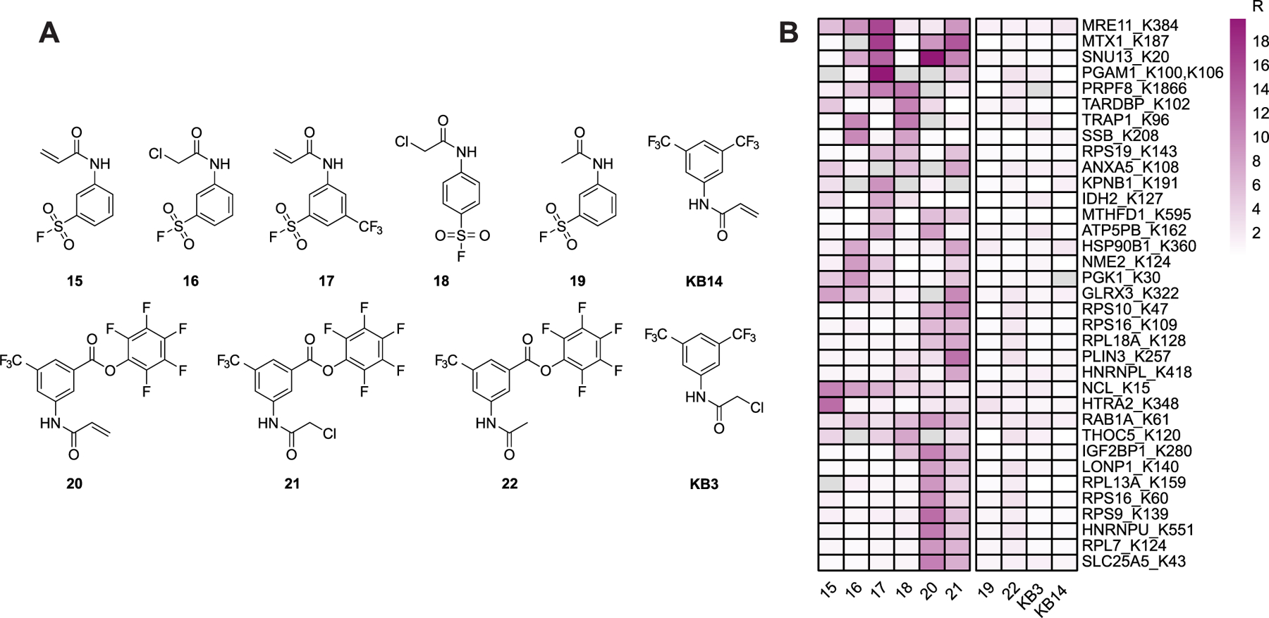 Figure 5.