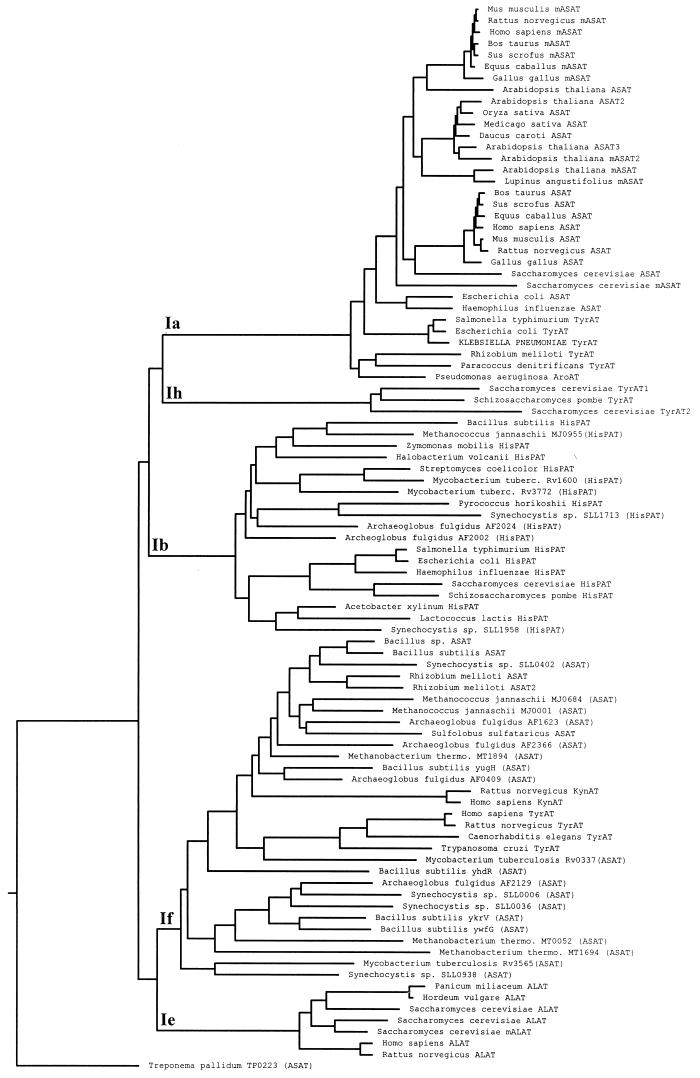 FIG. 5