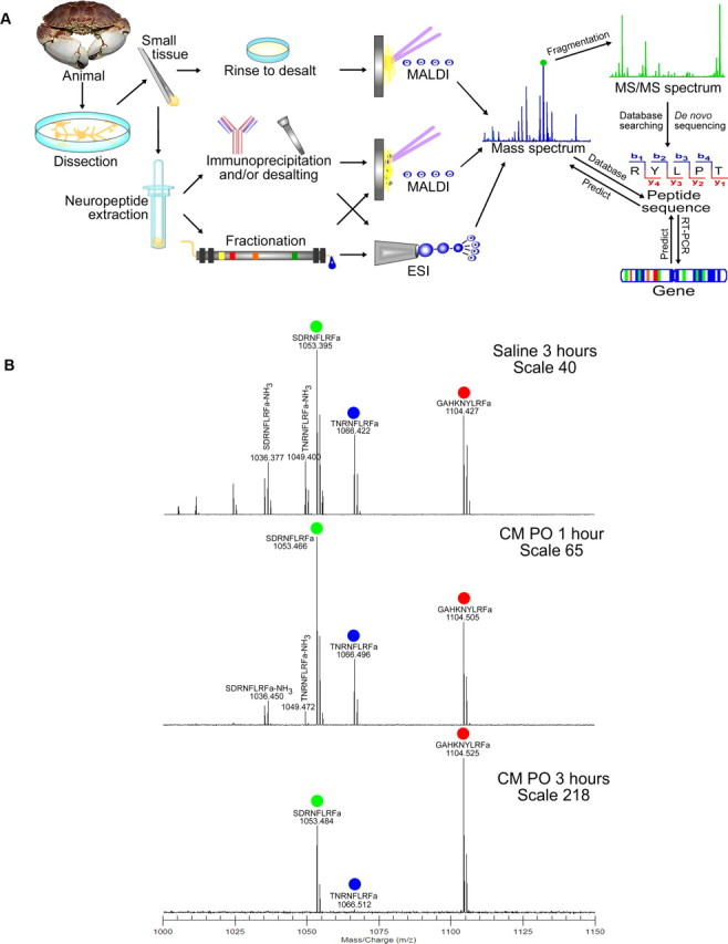 Figure 5.