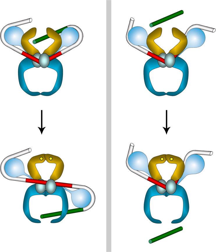 Fig. 8