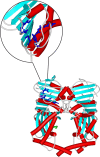 Fig. 9