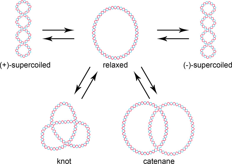 Fig. 1