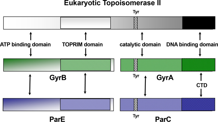 Fig. 3