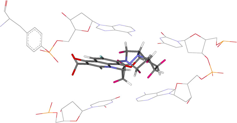 Fig. 11