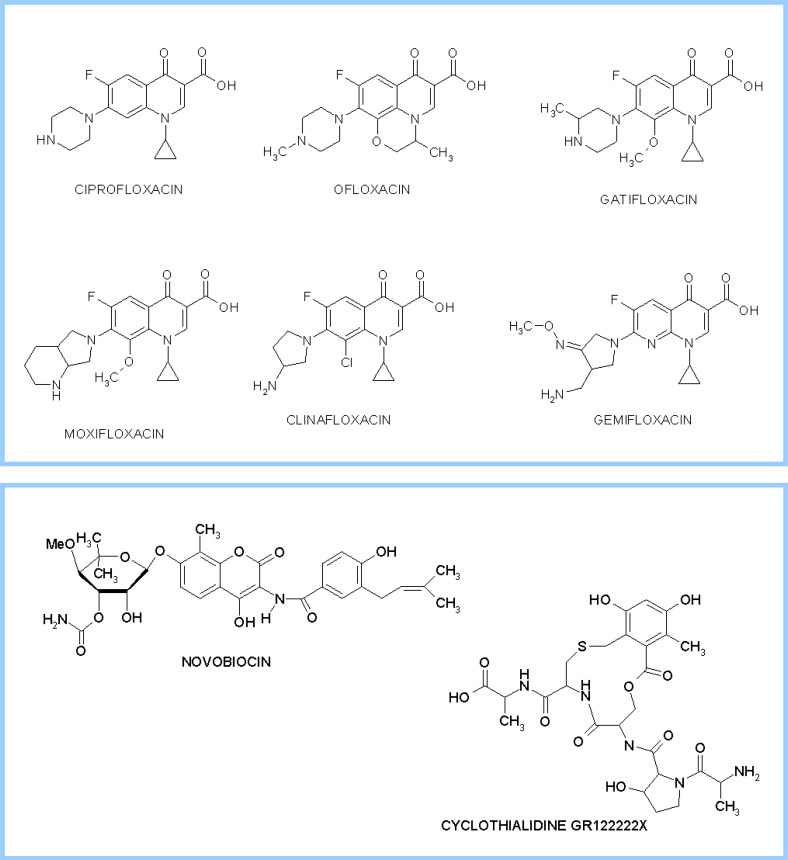 Fig. 10