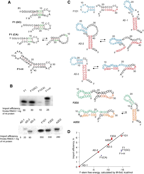 FIGURE 4.