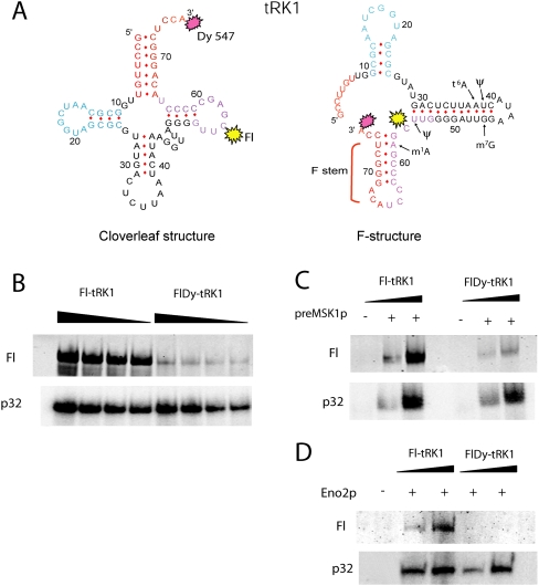 FIGURE 3.