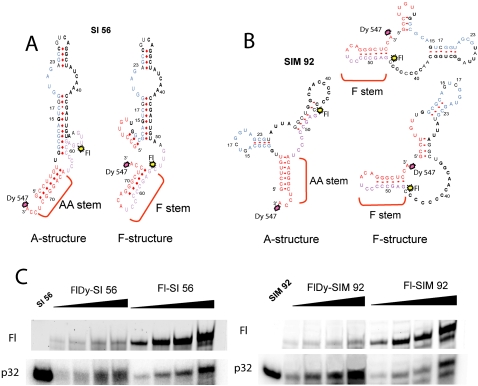 FIGURE 2.