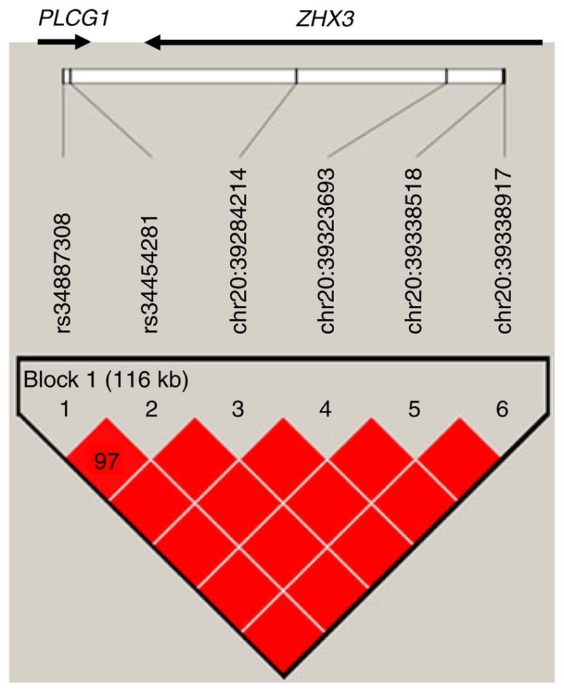 Fig. 3