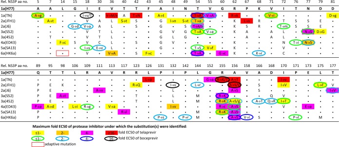 FIG 1