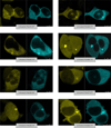 Extended Data Figure 1