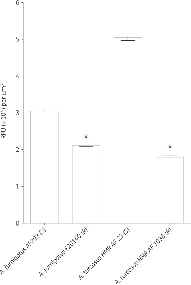 Figure 5.