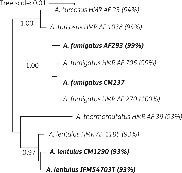 Figure 2.