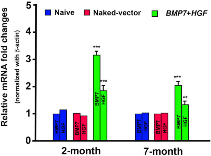 Figure 11.