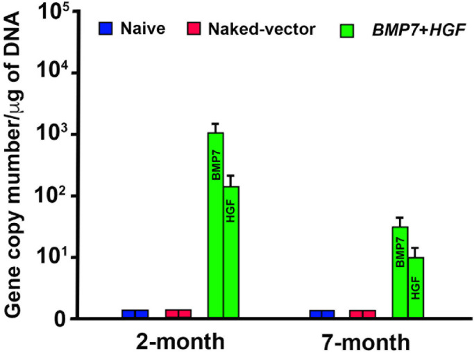 Figure 10.