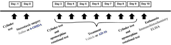 FIGURE 1