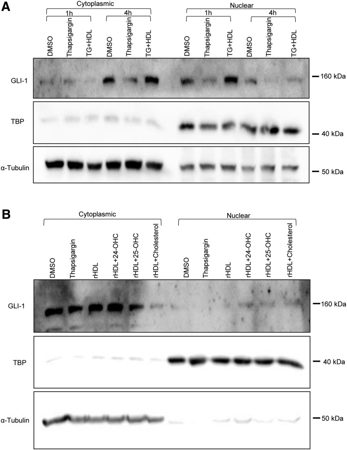 Fig. 10.