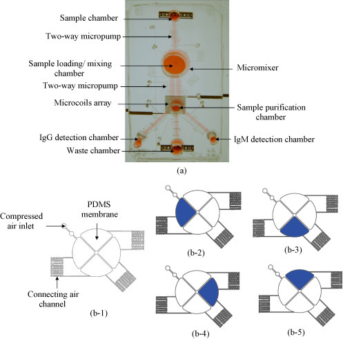 Fig. 2