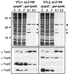 FIG. 7