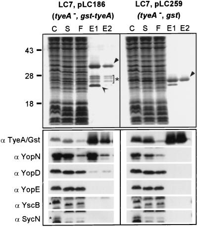 FIG. 6