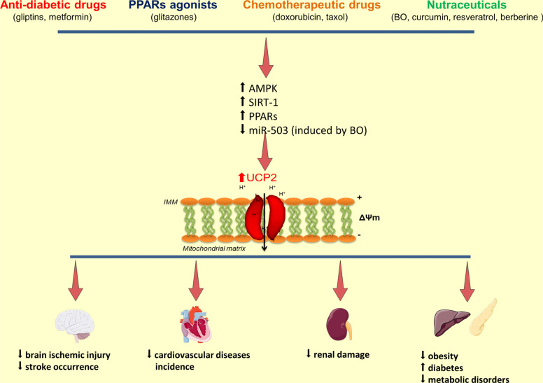 Fig. (2)