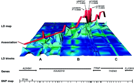 Figure  2