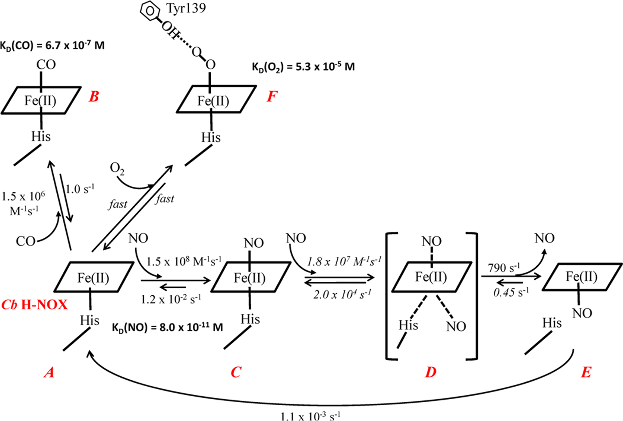 Scheme 1.