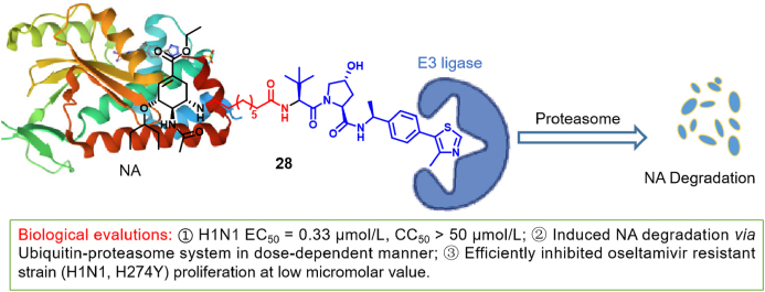 Figure 10