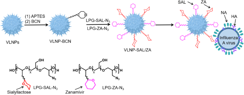 Figure 20