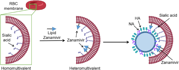 Figure 21