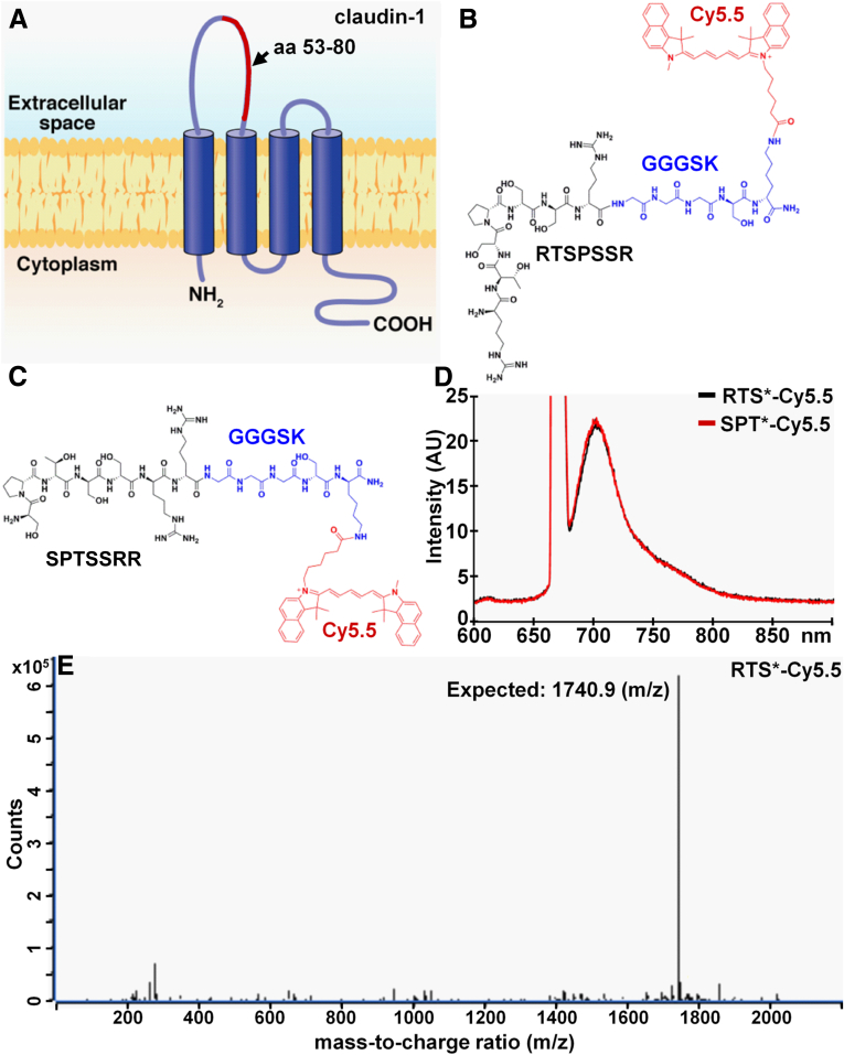 Figure 2