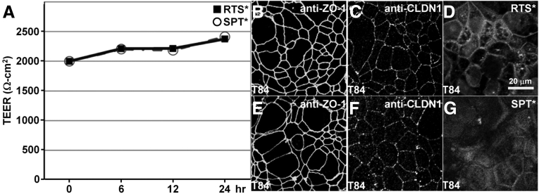 Figure 5