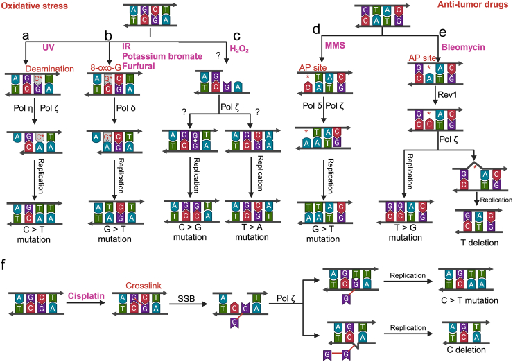 Fig. 4