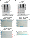 FIG 6