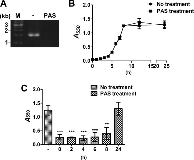 FIG 3