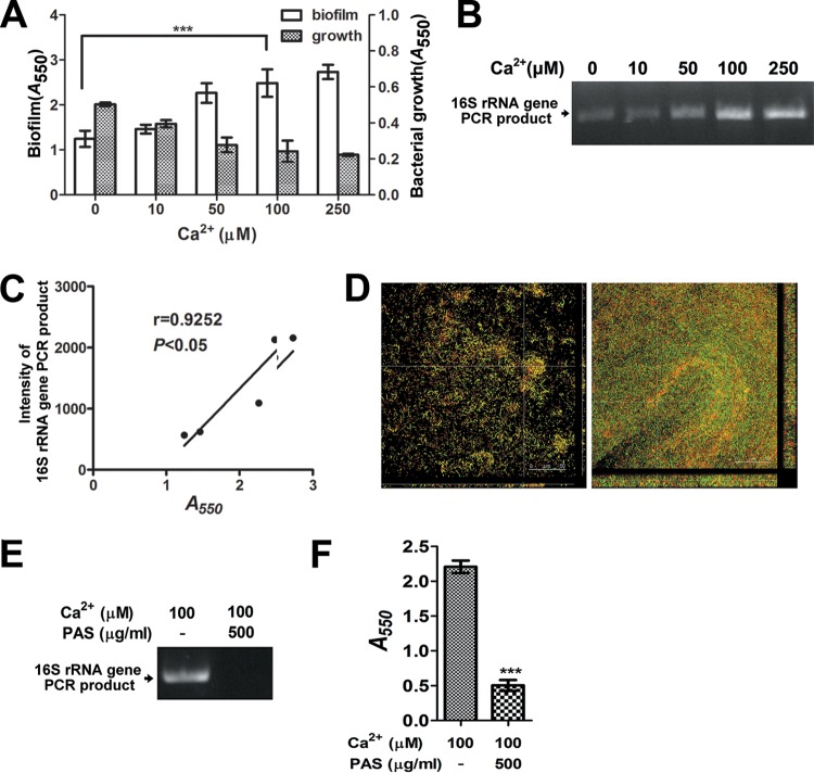 FIG 4