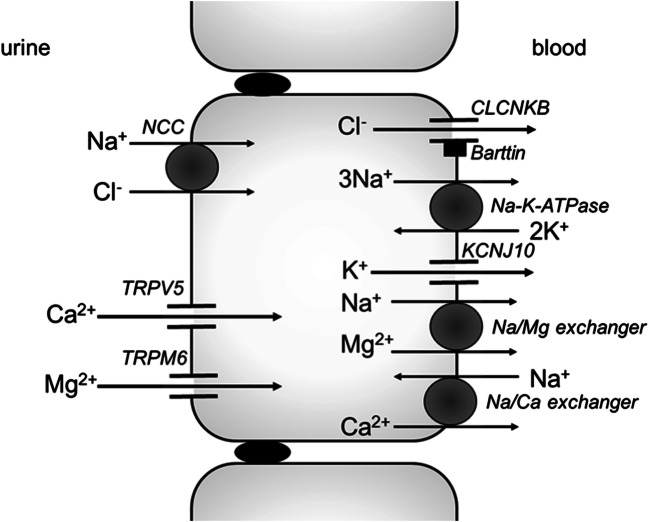 Fig. 2.