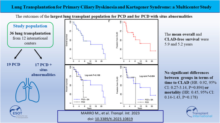 graphic file with name TI_ti-2023-10819_wc_abs.jpg