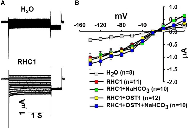 Figure 9.