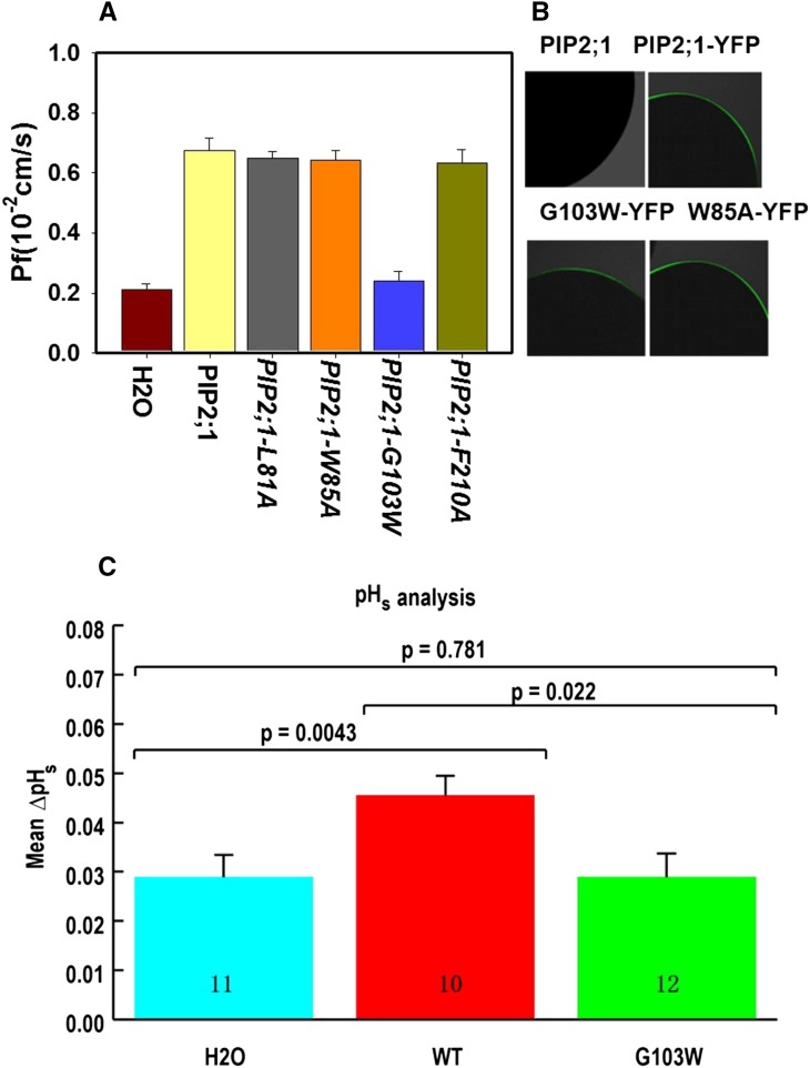 Figure 5.