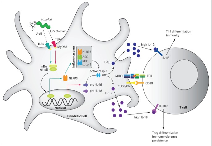 Figure 1.