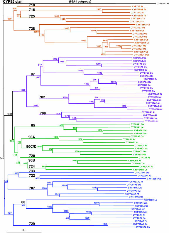 Figure 3.