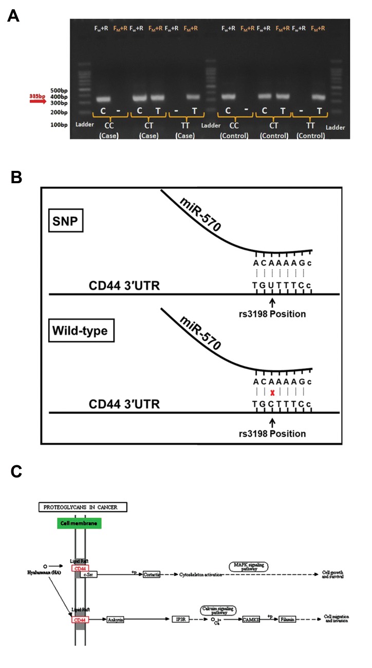 Fig.2