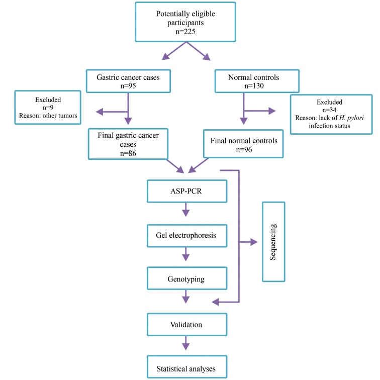 Fig.1