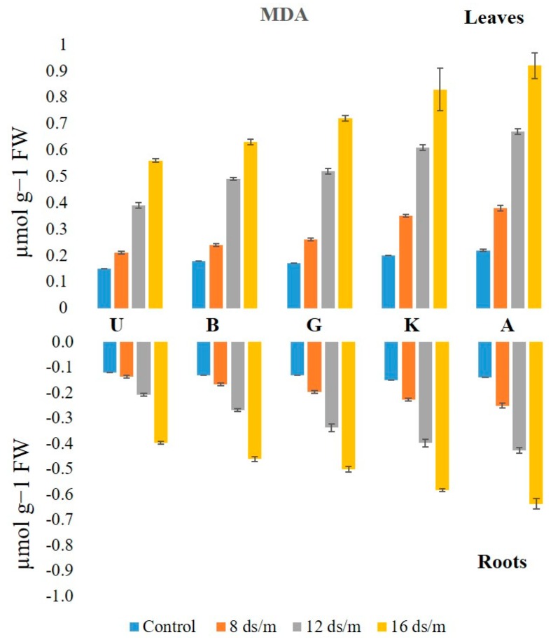 Figure 11